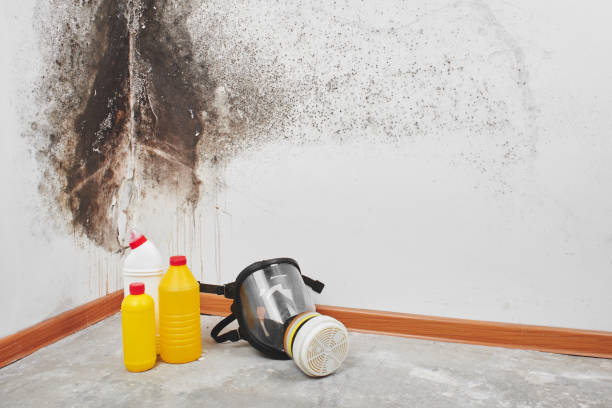 Water damage restoration mold remediation in Mcfarland, WI